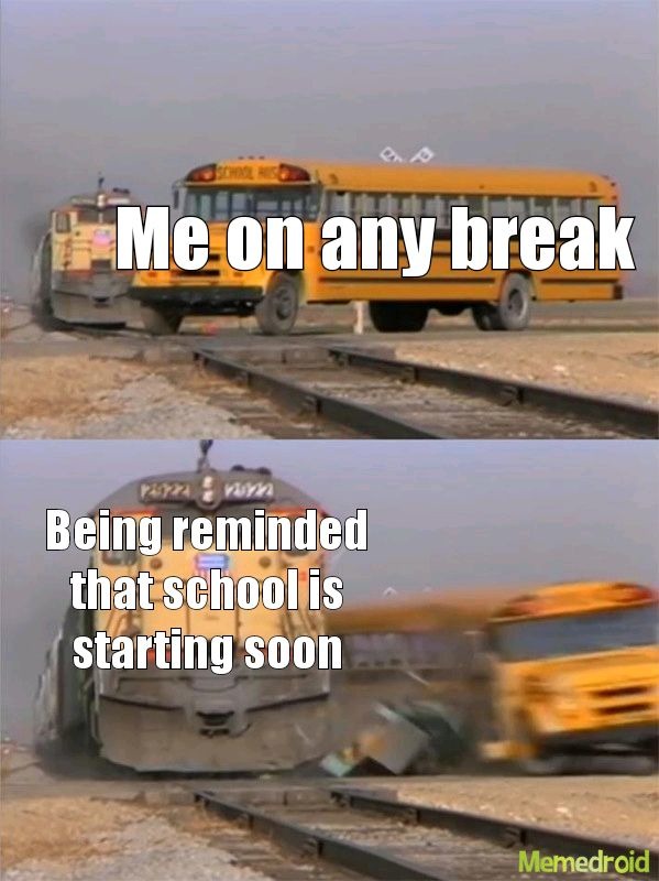 School breaks be like - meme