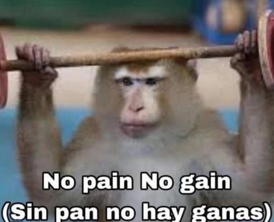 Sin pan no hay ganas. Frase motivacional nivel cocina - meme