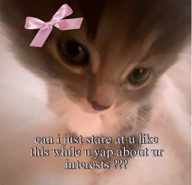 Miss gattito :3 - meme