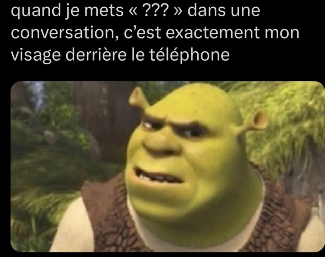 quand j'fais le smiley sus dans un tchat et qu'j’suis en panique derrière - meme