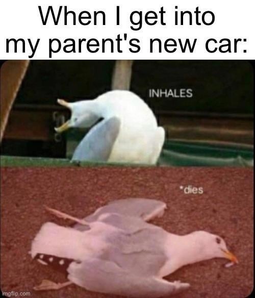That new car smell hit harder than expected - meme