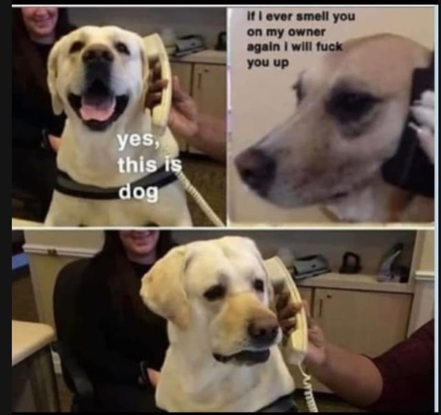 If I ever smell you again I’ll tuck you up - meme