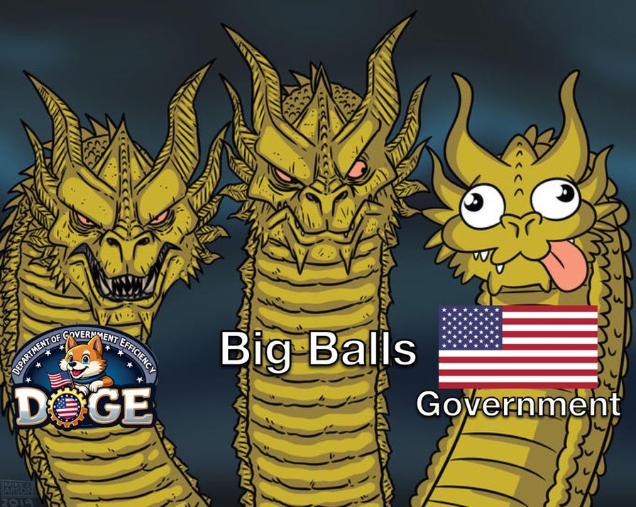 I voted for Big Balls - meme