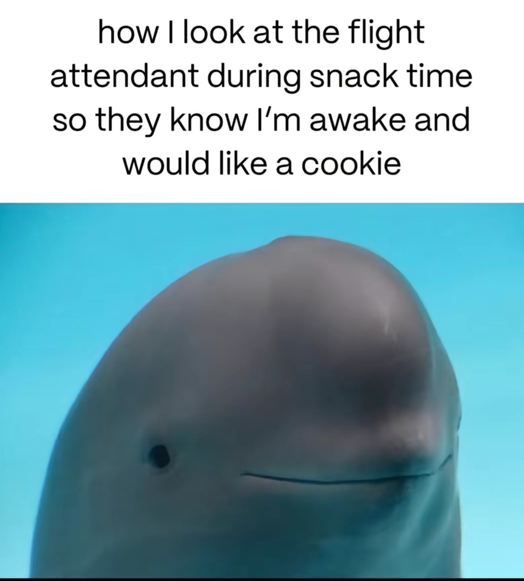 yes - meme