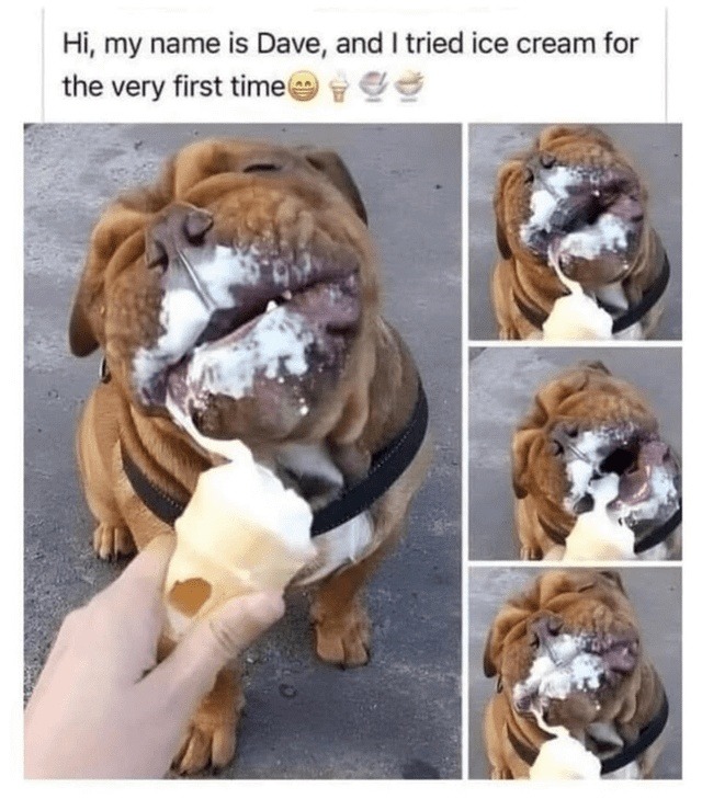 hi i’m dave and i just discovered ice cream - meme