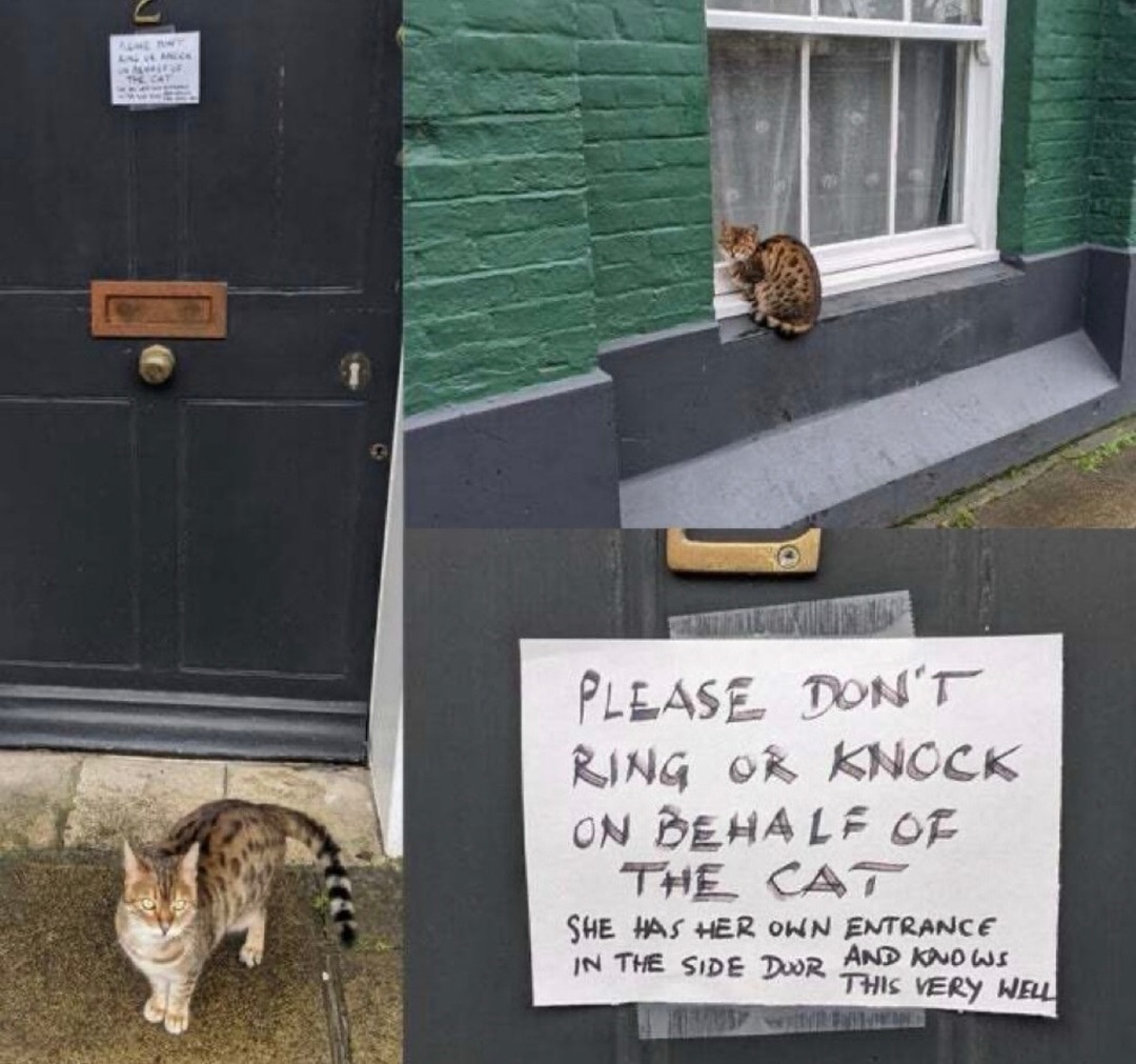 ﻿PLEASE Dont RinG k KnOcK On DEHALF Of THE CAT She #As Her Ohin Entrance IN The Side DR And KUd LJI Thlic Very NELL