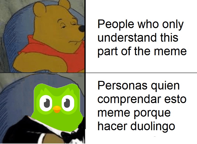Yo el primer mes de Duolingo: - meme