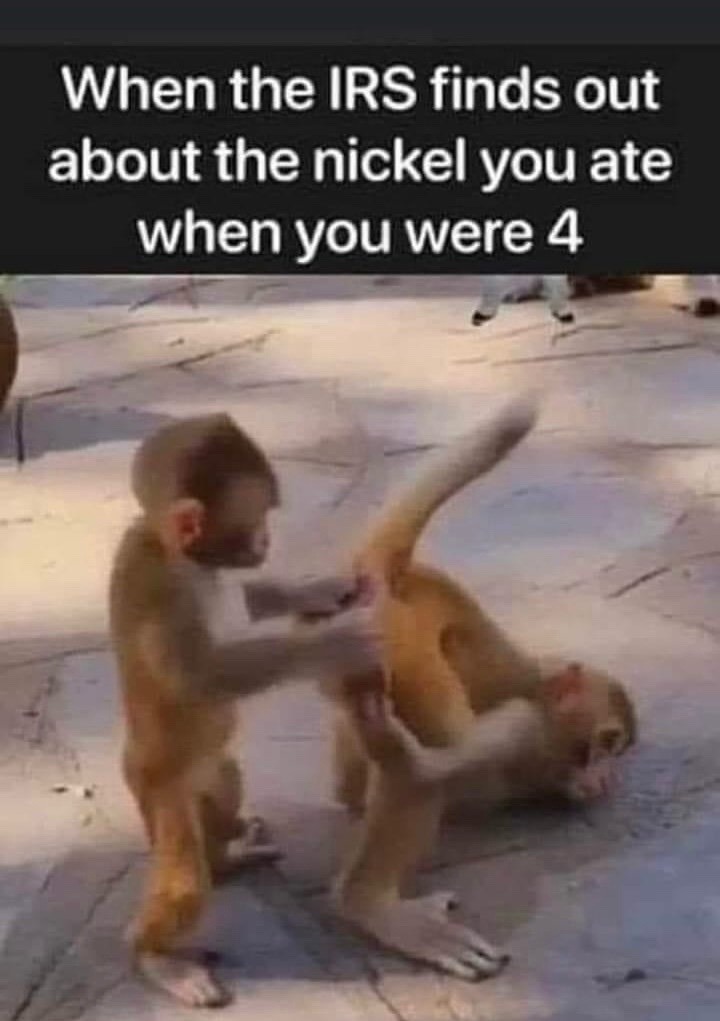 The Last Nickel Tickle - meme
