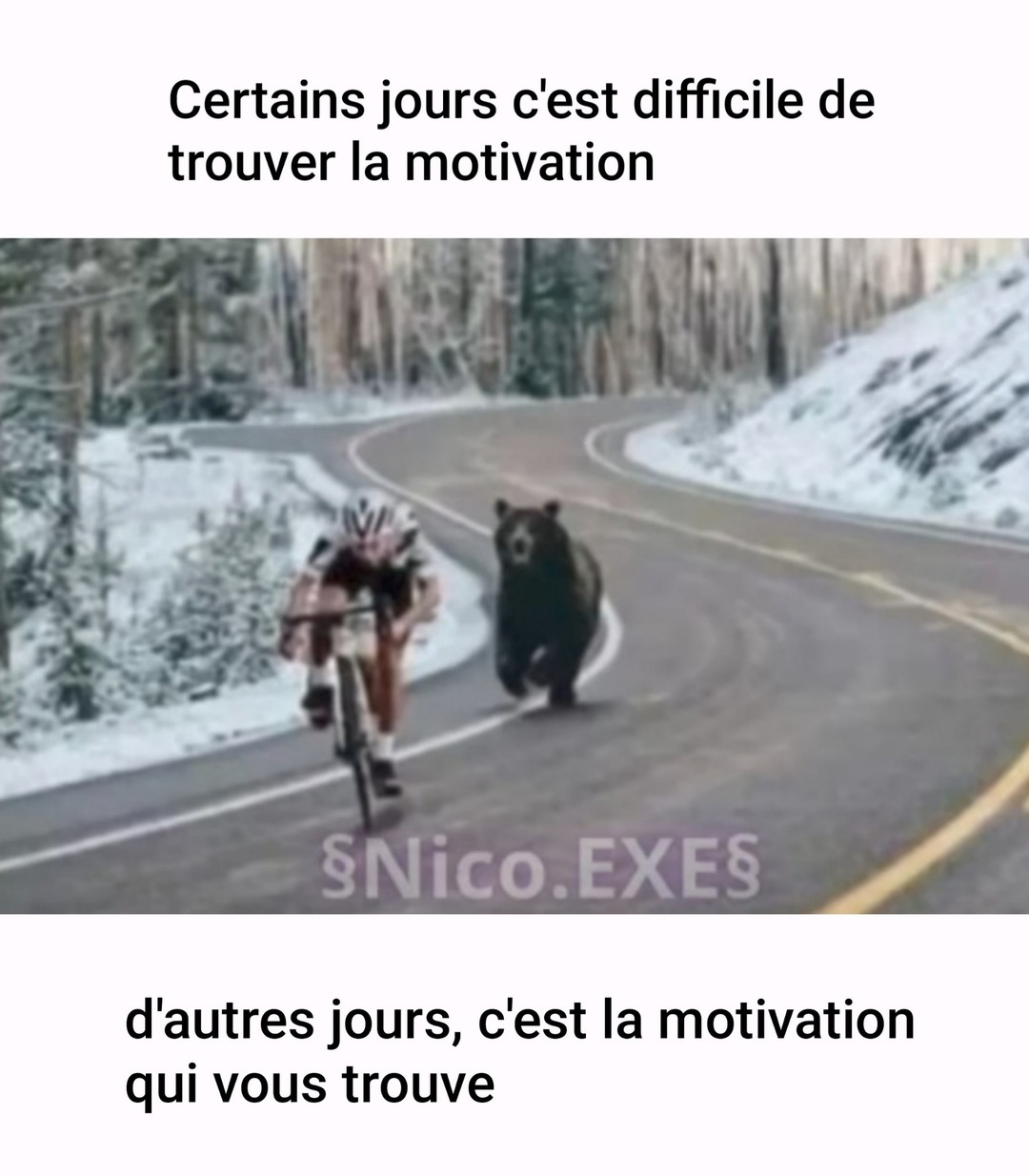 Titre - meme