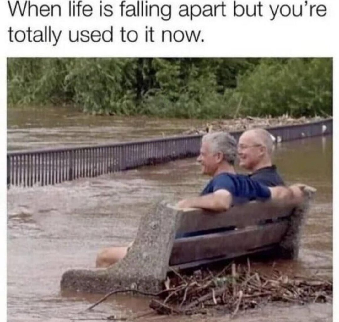 it will be fine - meme