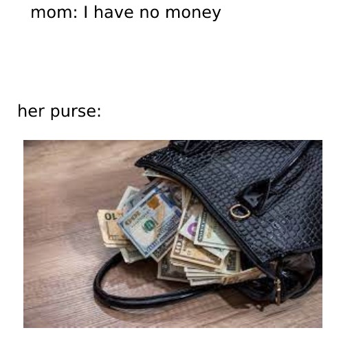 the money in your moms purse - meme