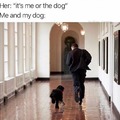 It's me or the dog