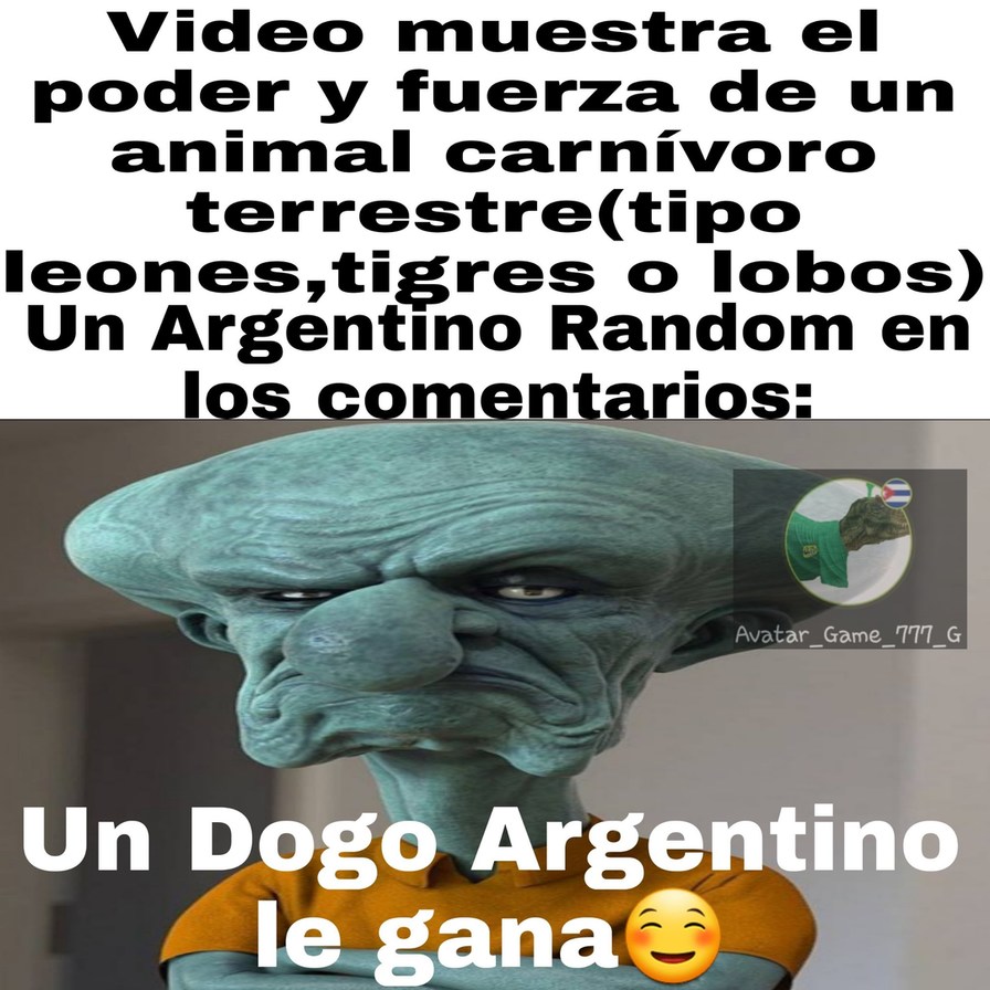 Para el que no sepa un dogo Argentino es una raza de perro - meme