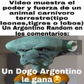 Para el que no sepa un dogo Argentino es una raza de perro