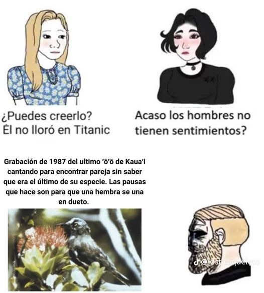 Hay destinos terribles - meme