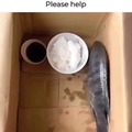 commented item thumbnail