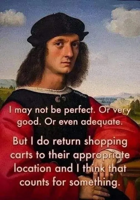 I may not be perfect - meme