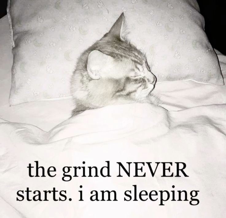 Following my dreams obviously - meme