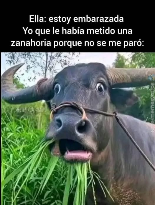 Y ahora cómo le explico que solo fue una zanahoria - meme
