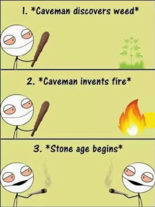 Stone Age Are Stupid - meme