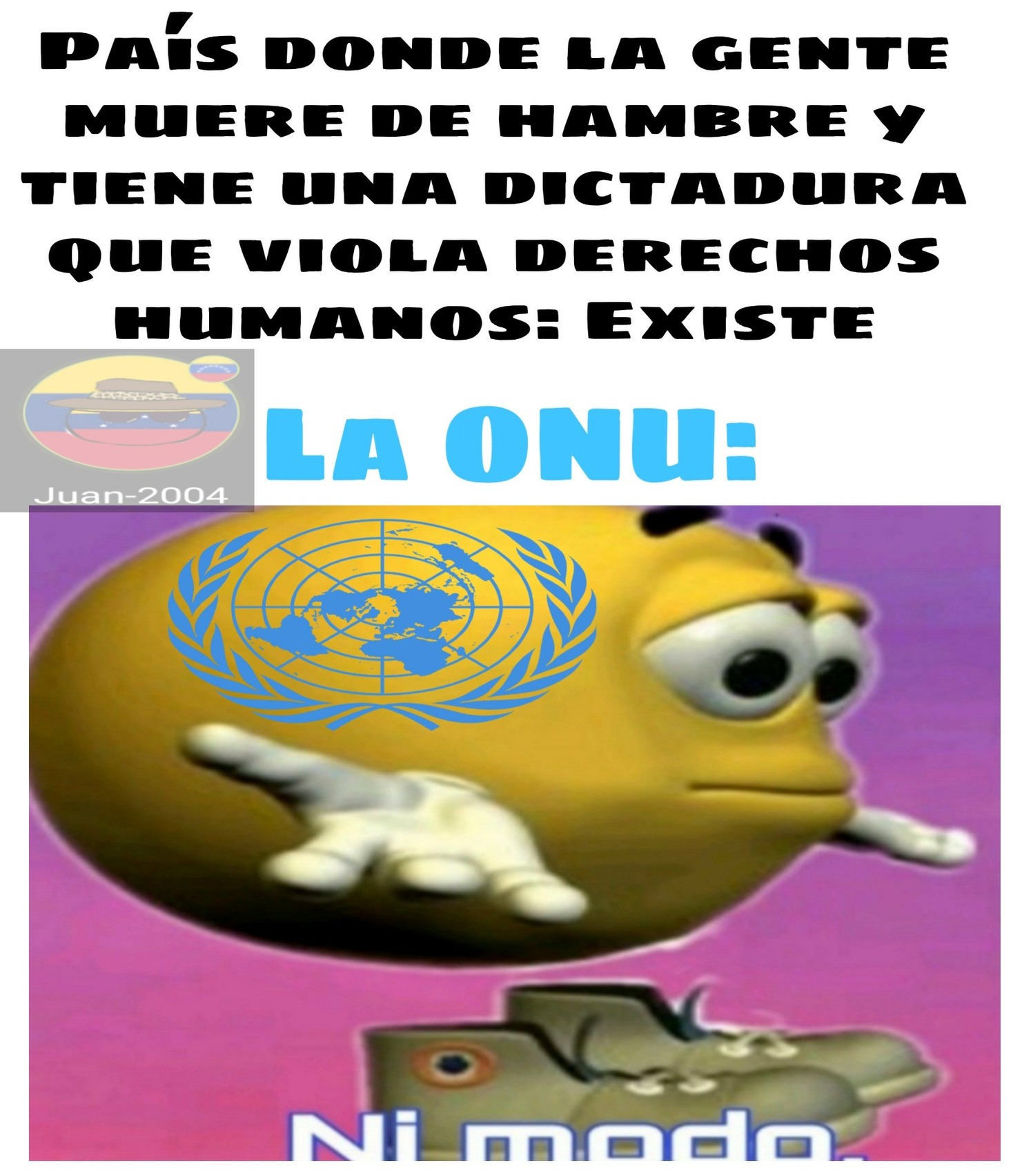 La ONU sirve de la misma manera que los pezones masculinos - meme