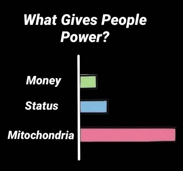 Mitochondria - meme