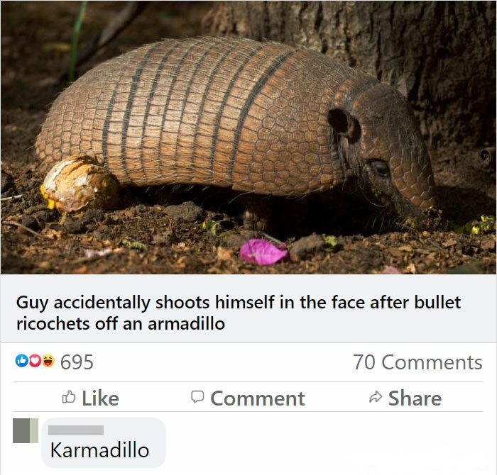 But why would you shoot an armadillo? - meme