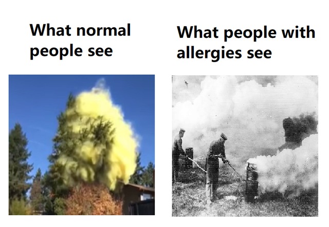 fighting allergies - meme