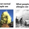 fighting allergies