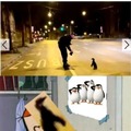 Pinguino chad