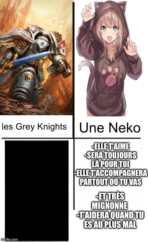 [vous n'avez pas accès à ce fichier] - meme