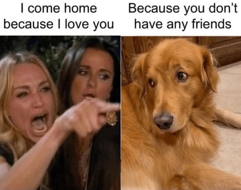 Came home cause no friends not cause I love you - meme