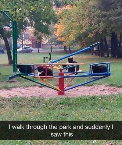 Forbidden park - meme