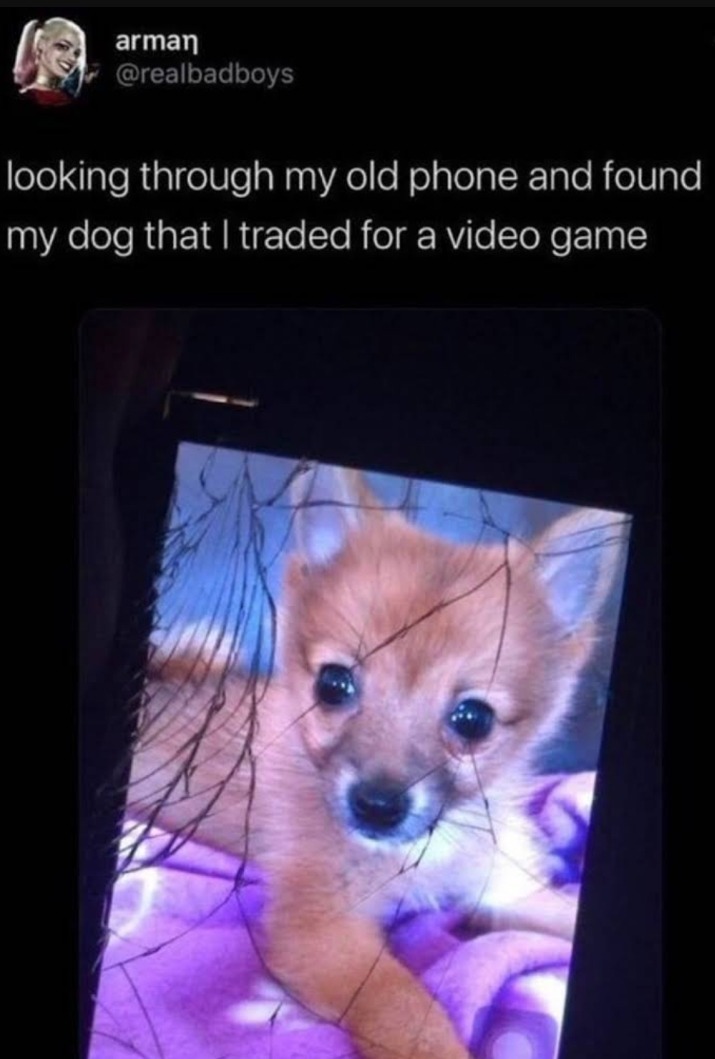 Mirando mi telefono viejo y encontré una foto de el perro que intercambié por un juego - meme