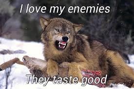 angry wolf boi - meme