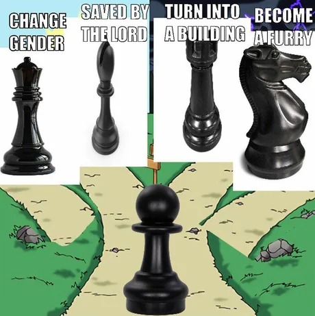 Funny chess meme