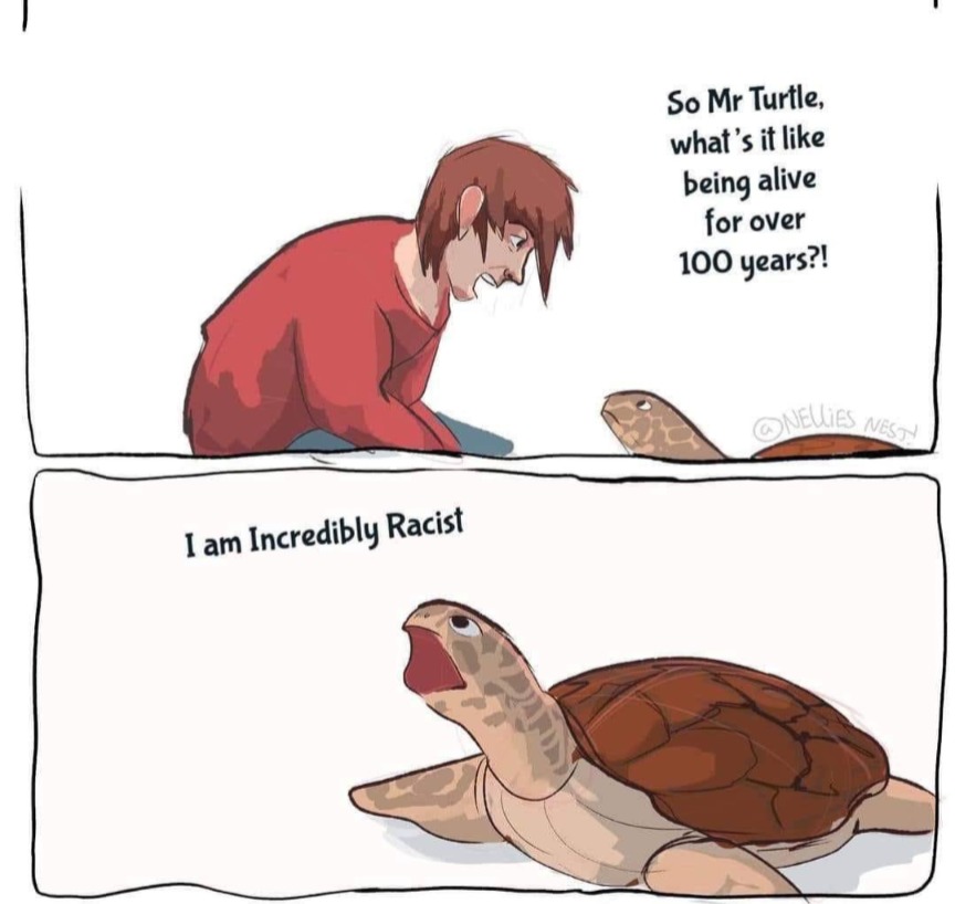 Turtle - meme