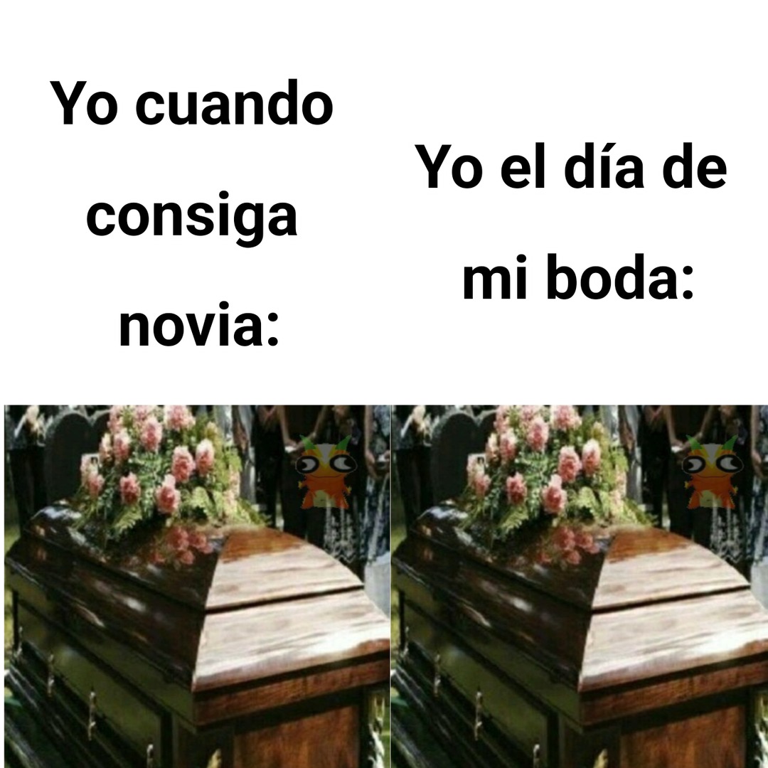 No va a cambiar nada - meme