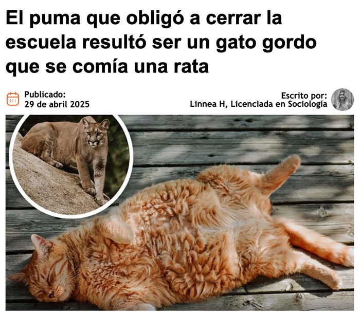 el puma era Garfield XL - meme