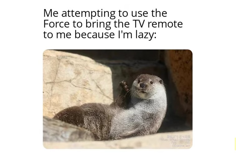 "Am lazy! Need remote!" - meme