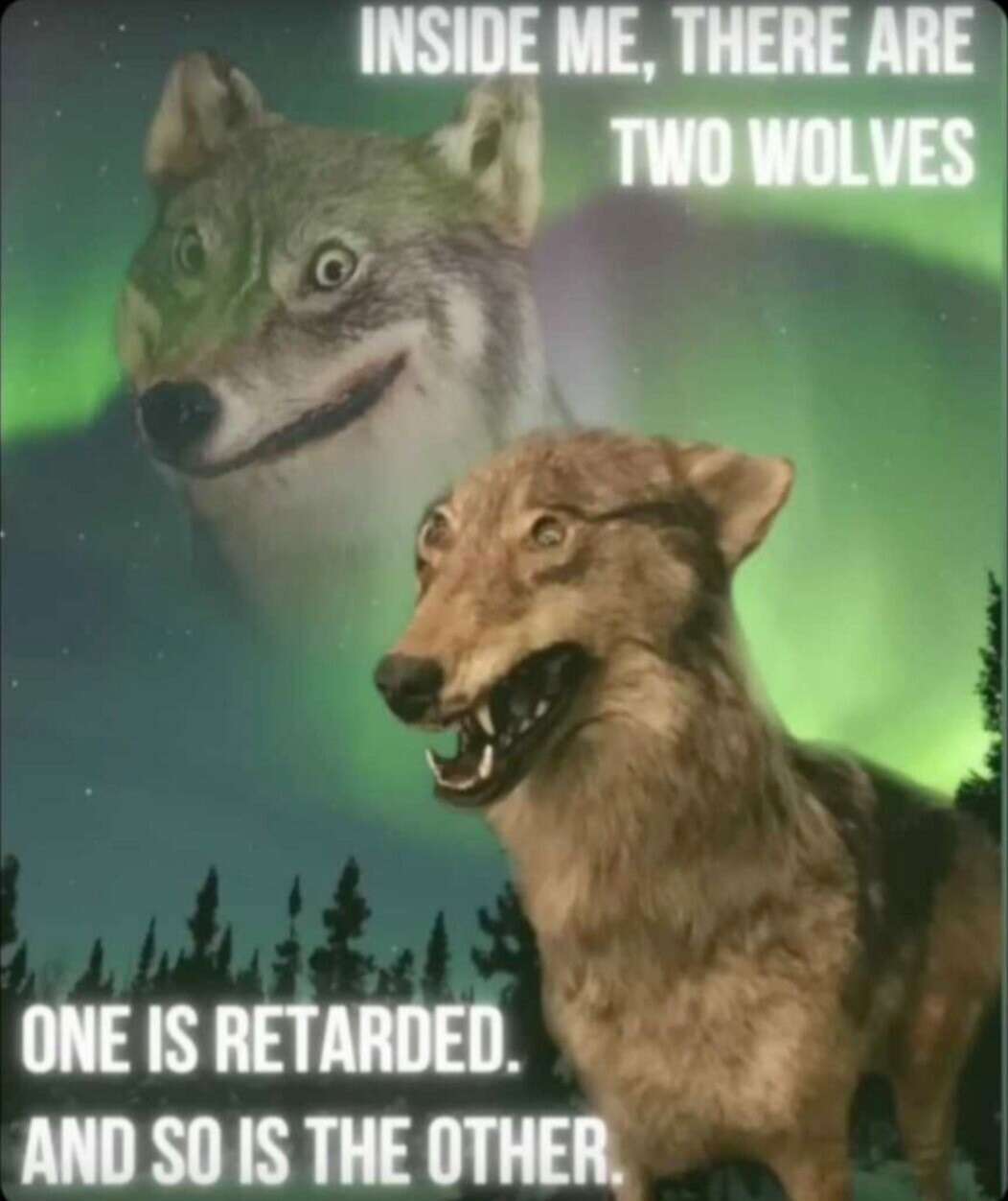 In this app everyone has those two wolves. - meme
