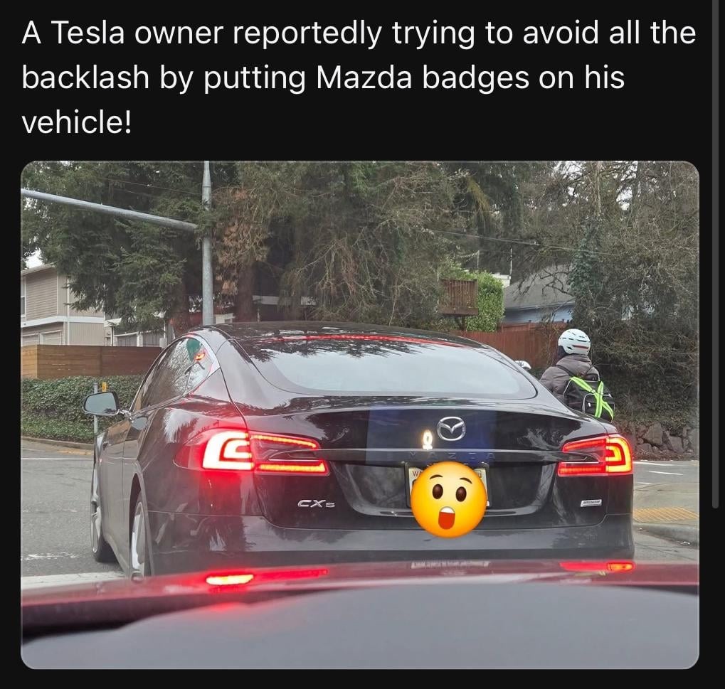 Tesla owner trying to avoid all the backlash - meme