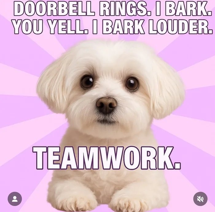 This is great. Hooman is helping me now. - meme
