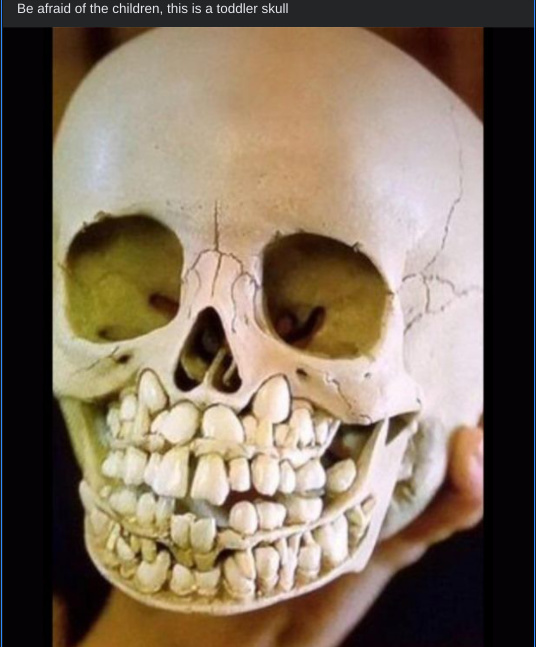 Toddler Skull, have you ever seen one - meme