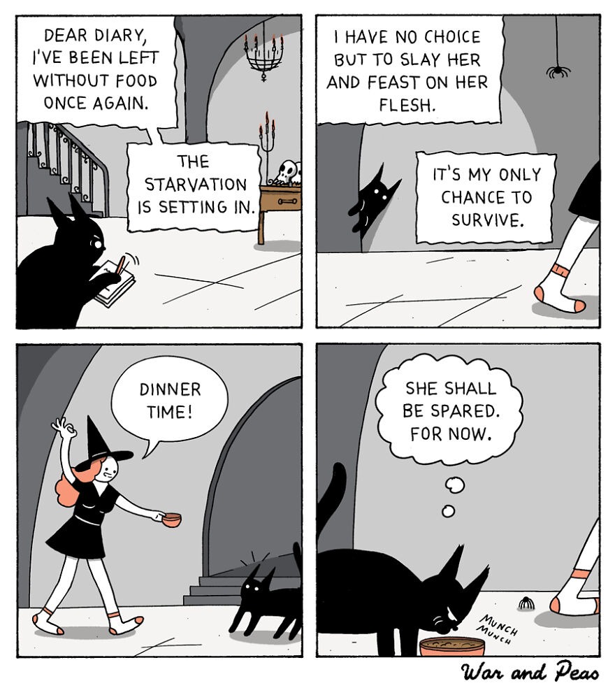 The mindset of cats - meme