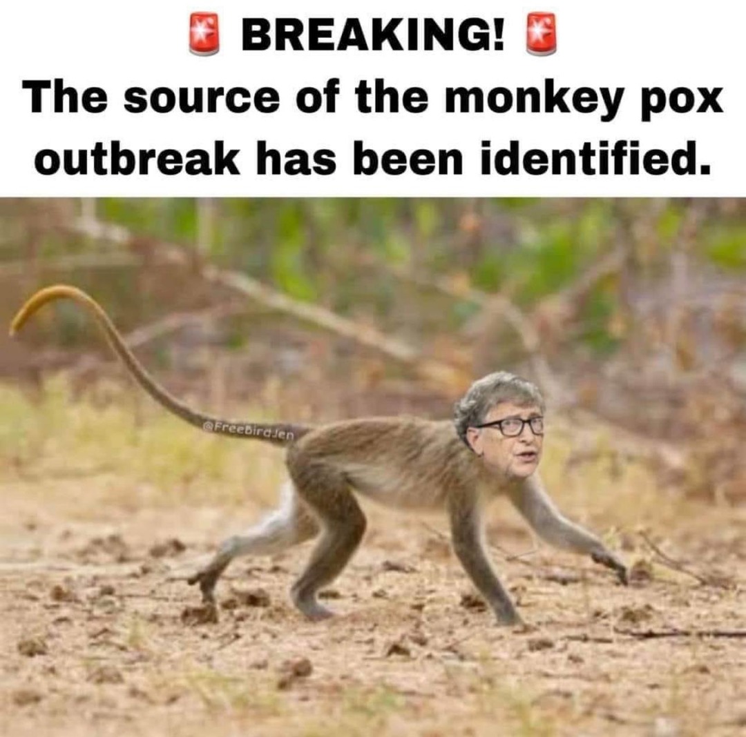 Origin of Monkey Pox - meme