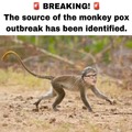 Origin of Monkey Pox