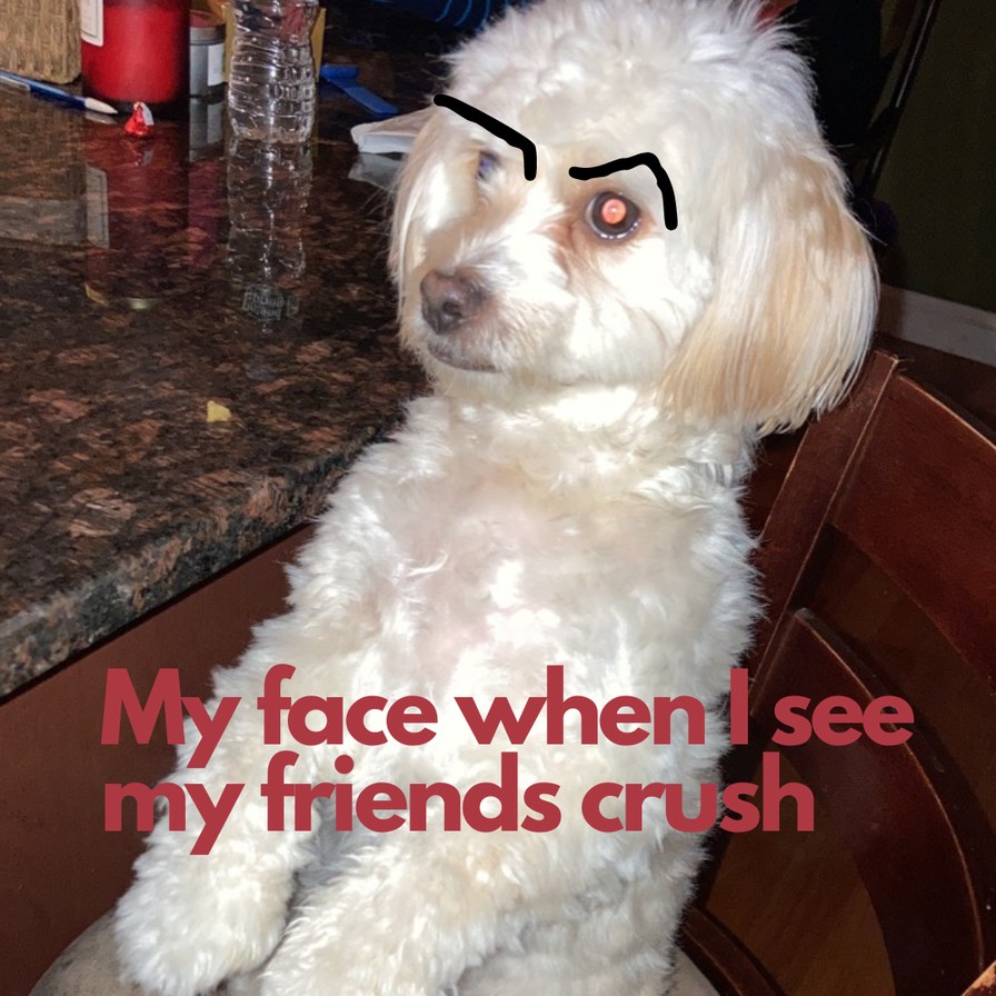 My Face When I C my friends crush - meme