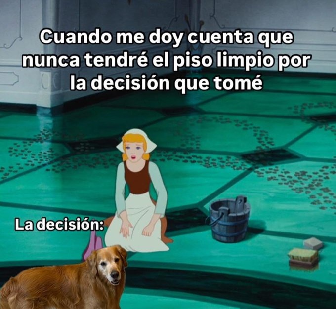 O perro o piso limpio, no puedes ambas - meme