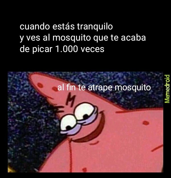 Al fin atrape un mosquito - meme